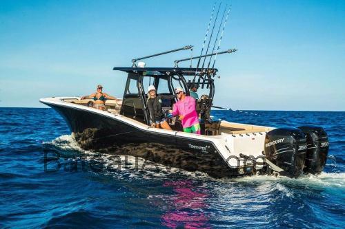 Tidewater 320 CC fiche technique et avis